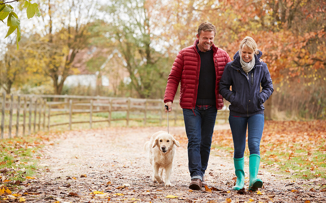 Men and women walking with their dog in the woods
